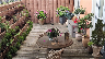 Terrassendetail